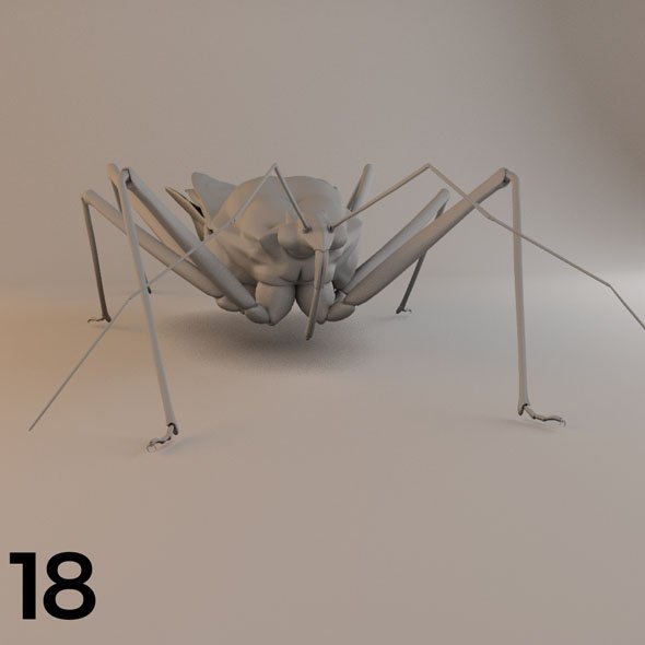 Insects and Beetles Pack Model 3D Download For Free