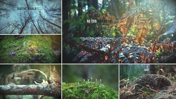 Videohive 17562250 - Digital Connected World - Motion Graphics - Footage
