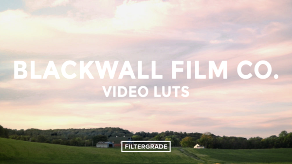 Blackwall Film Co. Cinema & Film LUTS (Win/Mac)- LUTS MÀU ĐẸP